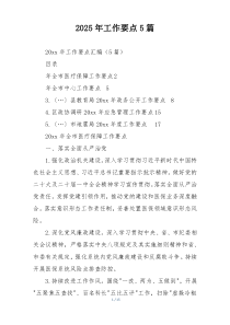 2025年工作要点5篇