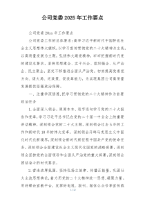 公司党委2025年工作要点