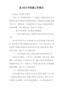 县2025年党建工作要点