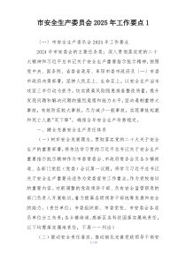 市安全生产委员会2025年工作要点1