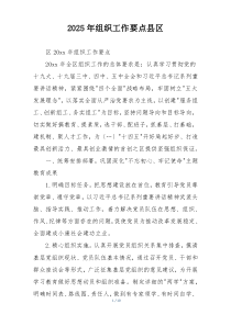 2025年组织工作要点县区