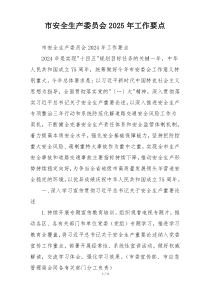 市安全生产委员会2025年工作要点