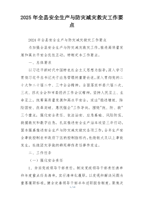 2025年全县安全生产与防灾减灾救灾工作要点