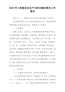 2025年X街道安全生产与防灾减灾救灾工作要点