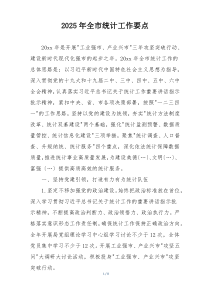 2025年全市统计工作要点