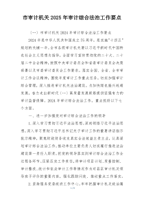 市审计机关2025年审计综合法治工作要点
