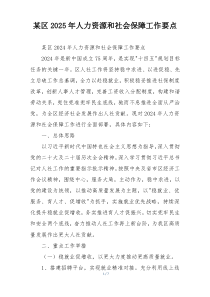 某区2025年人力资源和社会保障工作要点