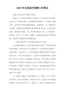 2025年全县医疗保障工作要点