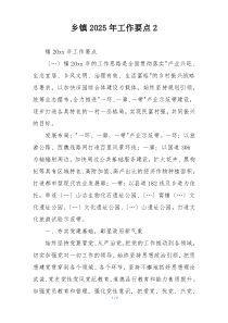 乡镇2025年工作要点2