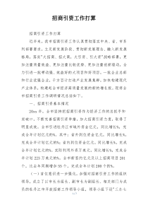 招商引资工作打算