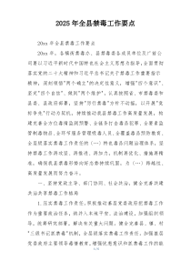 2025年全县禁毒工作要点