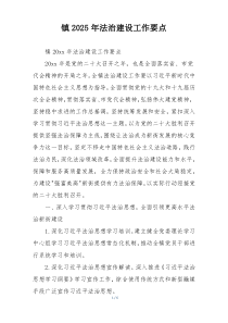 镇2025年法治建设工作要点
