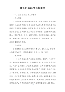 县工业2025年工作重点