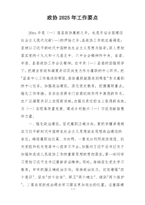 政协2025年工作要点