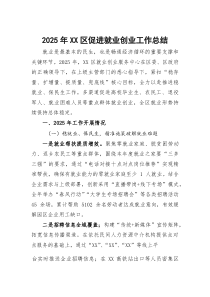 (材料)2025年XX区促进就业创业工作总结