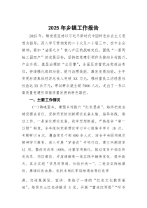 (材料)2025年乡镇工作报告