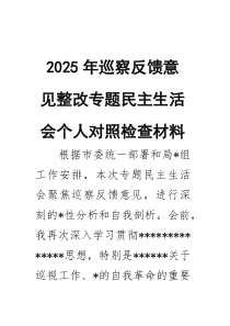 (材料)2025年巡察反馈意见整改专题民主生活会个人对照检查材料