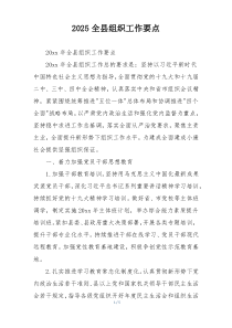 2025全县组织工作要点