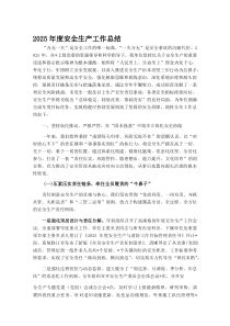 (材料)2025年度安全生产工作总结