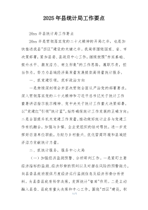 2025年县统计局工作要点