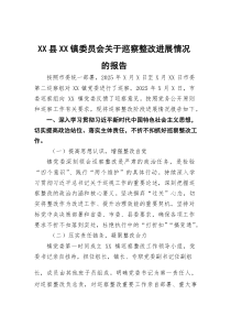 (材料)XX县XX镇委员会关于巡察整改进展情况的报告