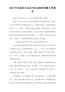 2025年全县非公企业与社会组织党建工作要点