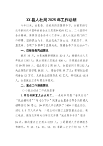 (材料)XX县人社局2025年工作总结