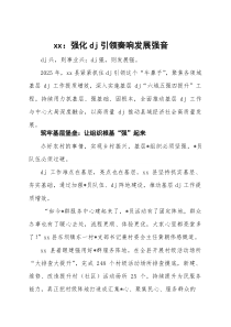 (材料)xx县党建亮点工作汇报：强化党建引领奏响发展强音