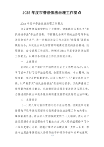 2025年度市普法依法治理工作要点