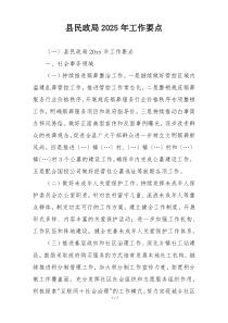 县民政局2025年工作要点