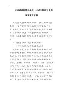 谈巡视巡察整改感悟巡视巡察亮利刃整改落实迎新篇