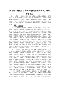 (材料)国有企业党委书记2025年度民主生活会个人对照检查材料