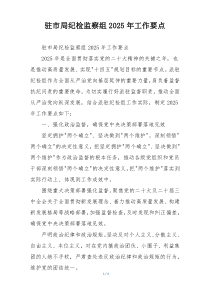 驻市局纪检监察组2025年工作要点