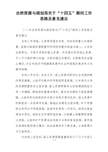 自然资源与规划局关于“十四五”期间工作思路及意见建议