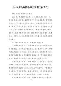 2025国企集团公司共青团工作要点