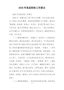 2025年某县财政工作要点