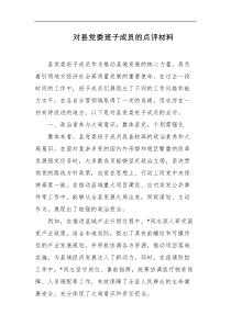 对县党委班子成员的点评材料