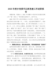 2025年度乡党委书记抓党建工作述职报告(参考)