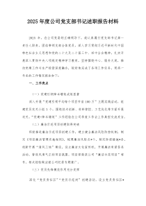 2025年度公司党支部书记述职报告材料(参考)