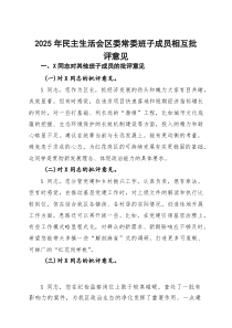 2025年民主生活会区委常委班子成员相互批评意见(参考)