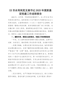 XX市水利局党支部书记2025年度抓基层党建工作述职报告(参考)