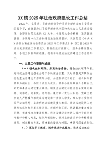 XX镇2025年法治政府建设工作总结(参考)