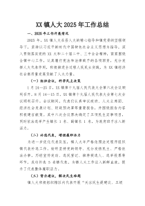 XX镇人大2025年工作总结(参考)