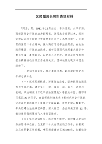 区局副局长现实表现材料