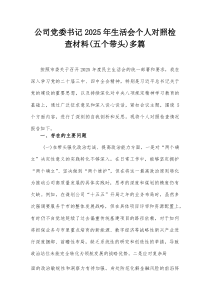 公司党委书记2025年生活会个人对照检查材料(五个带头)多篇(参考)
