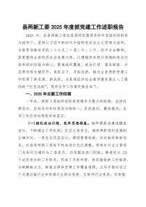 县两新工委2025年度抓党建工作述职报告(参考)