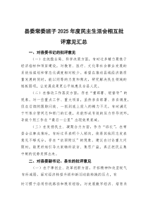 县委常委班子2025年度民主生活会相互批评意见汇总(参考)