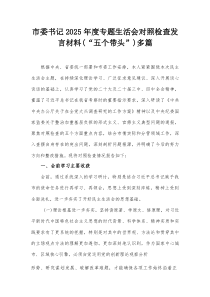 市委书记2025年度专题生活会对照检查发言材料（“五个带头”）多篇(参考)