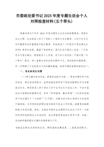 市委政法委书记2025年度专题生活会个人对照检查材料（五个带头）(参考)