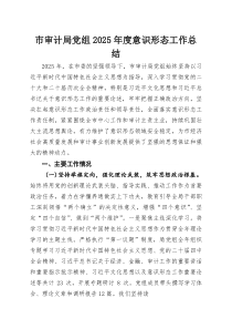 市审计局党组2025年度意识形态工作总结(参考)